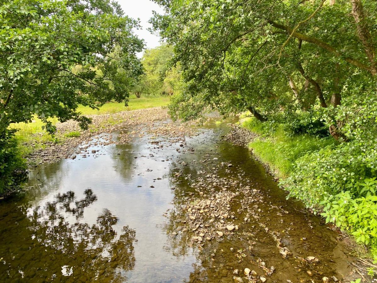 River View Glamping Hotell Llandovery Exteriör bild